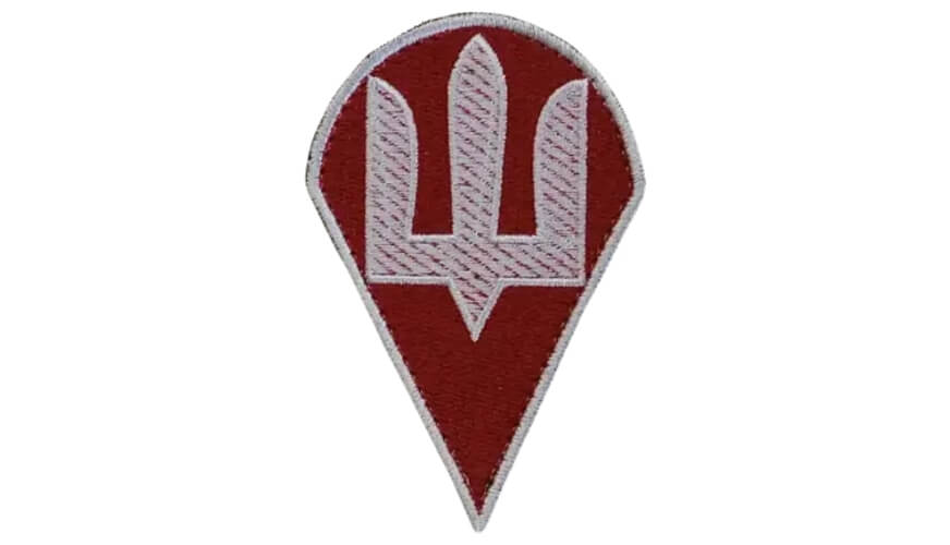 шеврон белый тризуб фото