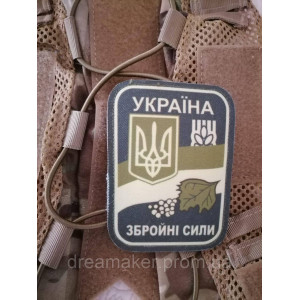 Шеврон Шевченко Т.Г. (AN-12-8). Photo 2