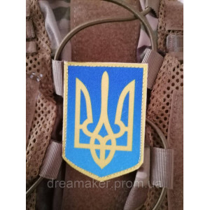 Шеврон Шевченко Т.Г. (AN-12-8). Photo 3