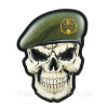 Шеврон череп у береті "Радіотехнічні війська" (AN-12-201)