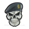 Шеврон череп у береті (Загальний ВМС) Шеврон Військово-морських сил (AN-12-203)