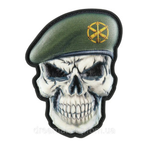 Шеврон череп у береті "ППО сухопутних військ" (AN-12-206)