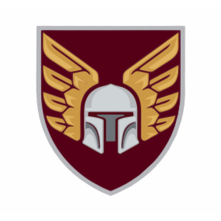 Шеврон ДШВ 46 ОДШБр отдельная десантно-штурмовая бригада Парадный (AN-12-254)