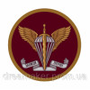 Шеврон ДШВ "Десантно-штурмові війська" (AN-12-269)