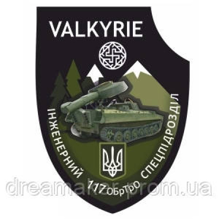 Шеврон VALKYRIE спецпідрозділ "117 ОБРТРО" Бригада тероборони (AN-12-302)