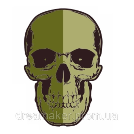 Шеврон череп (AN-12-327)