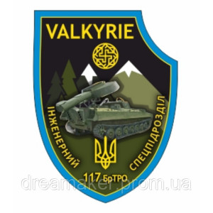 Шеврон VALKYRIE спецпідрозділ "117 ОБРТРО" Бригада тероборони (AN-12-302-2)