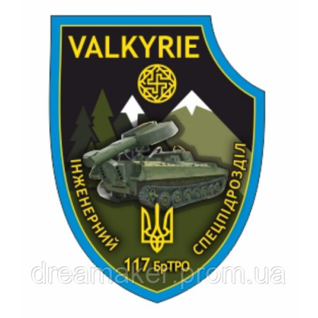 Шеврон VALKYRIE спецпідрозділ "117 ОБРТРО" Бригада тероборони (AN-12-302-2)