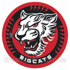 Шеврон "BIGCATS" Большие кошки (AN-12-357)