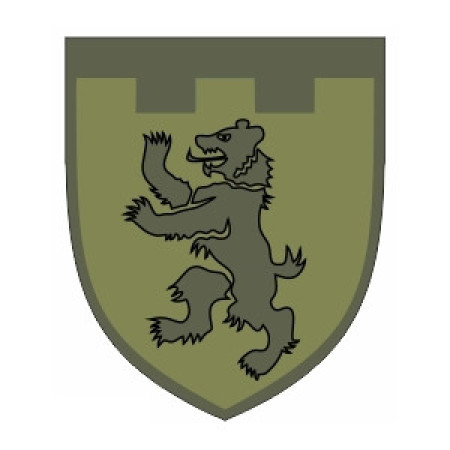 Шеврон тероборона "101 ТРО Закарпаття" (AN-12-401)