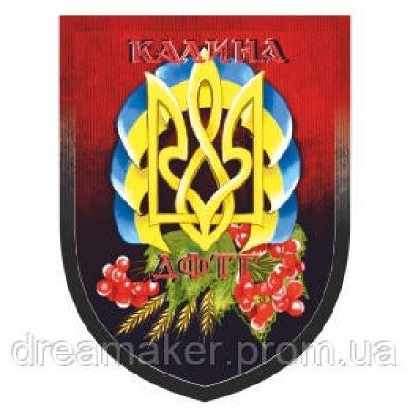 Шеврон добровольців ДФТО "Калина" з Тризубом (AN-12-456)