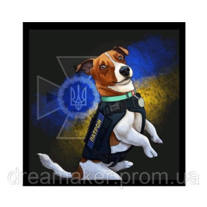 Шеврон "Подружка Патрона" боевая кошка (AN-12-486). Photo 2