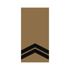 Шеврон Погон Капрал погоны (AN-12-504). Photo 3