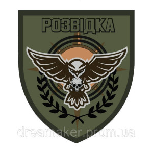 Шеврон "Разведка" Сова с черепом (AN-12-506-2). Photo 2