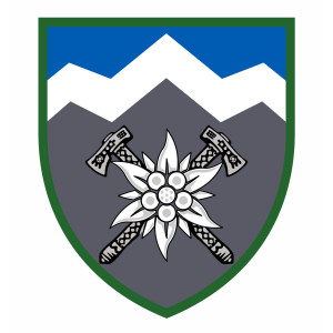 Шеврон 10 ОГШБр горно-штурмовая бригада "С щитом" (AN-12-561). Photo 2