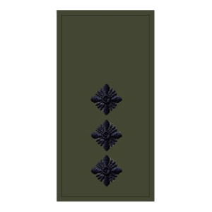 Шеврон "Погон старший лейтенант" (AN-12-503-5). Photo 3