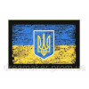 Шеврон флаг и тризуб Украины (AN-12-2-4)