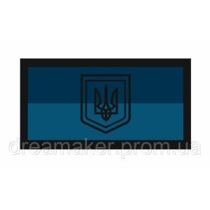 Шеврон флаг и тризуб Украины (AN-12-2-4)
