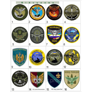 Шеврон Артиллерийская разведка Сова (AN-12-528-4). Photo 3