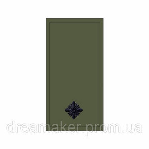 Шеврон "Погон младший лейтенант" (AN-12-503-10). Photo 3