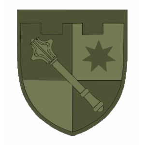 Шеврон "РУ Сил ТрО Схід" Парадний (AN-12-623). Photo 2