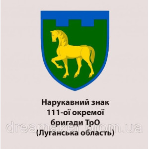 Шеврон 111-а ПРО ТрО Луганська область (AN-12-656)