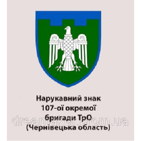 Шеврон 107-а окрема бригада ТРО 107 ОБРТРО Чернівецька область (AN-12-653)