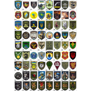 Шеврон "Батальон феникс 9 рота" (AN-12-156-2). Photo 3