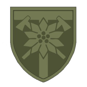 Шеврон 128 ОГШБ горно-штурмовая бригада (AN-12-558-7). Photo 2