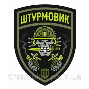 Шеврон "Штурмовик" желтый (AN-12-635-3). Photo 2