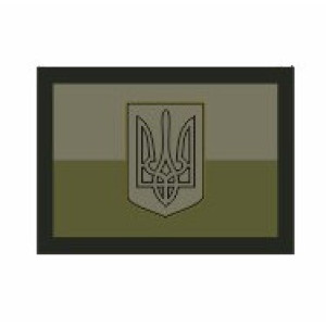 Шеврон флаг и койот (AN-12-233-5). Photo 2