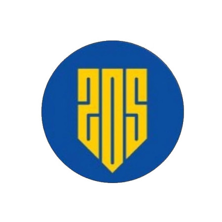 Шеврон "205 ОБТрО Киева" тероборона (AN-12-311-2)