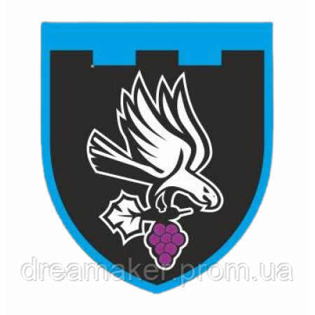 Шеврон 122-й окремий батальйон територіальної оборони (122 ОБтТрВ) (AN-12-311-6)