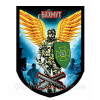 Шеврон Ангел хранитель города Бахмут ГПСУ (AN-12-479-16)