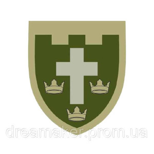 Шеврон 124-я отдельная бригада ТрО Херсонская область (124 ОБрТрО) (AN-12-643-2). Photo 3