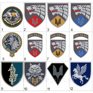 Шеврон Силы специальных операций ССО Подборка (AN-12-388-33)