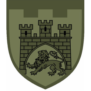 Шеврон 125 ОБр ТРО Бригада тероборони (AN-12-584-2)