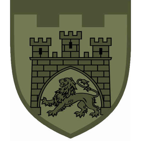 Шеврон 125 ОБр ТРО Бригада терробороны (AN-12-584-2)