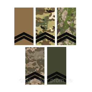 Шеврон Погон младший сержант Хищник (AN-12-27-4). Photo 2