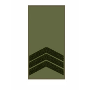 Шеврон Погон сержант (AN-12-27-5). Photo 2