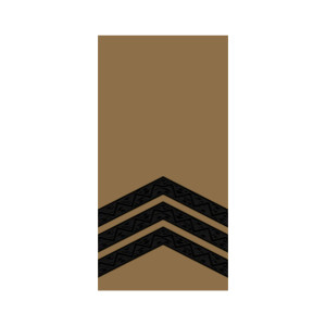 Шеврон Погон сержант Хищник (AN-12-27-7). Photo 3