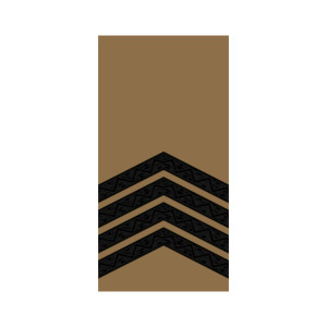 Шеврон Погон старший сержант Койот (AN-12-27-9)