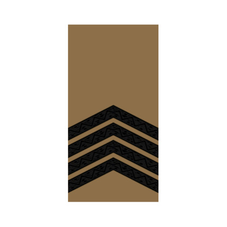 Шеврон Погон старший сержант Койот (AN-12-27-9)