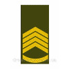 Шеврон Погон главный сержант (AN-12-27-13)