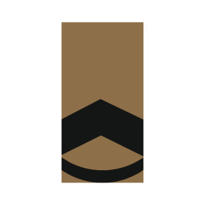 Шеврон Погон штаб сержант (AN-12-27-21). Photo 3