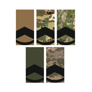 Шеврон Погон штаб сержант хищник (AN-12-27-22). Photo 2