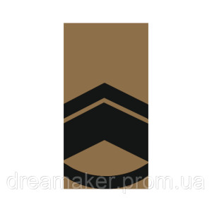 Шеврон Погон мастер сержант (AN-12-27-25). Photo 2