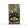 Шеврон Погон майстер сержант (AN-12-27-25)