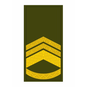 Шеврон Погон старший мастер сержант (AN-12-27-33). Photo 3