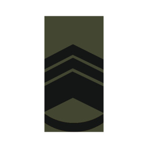 Шеврон Погон старший мастер сержант (AN-12-27-33)